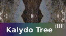 Kalydo Tree III by Klangfarbe